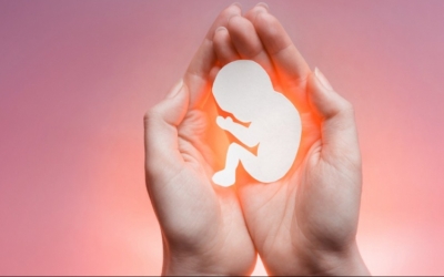 Változik az abortusztörvény: Szívhang meghallgatásához kötik a terhességmegszakítást