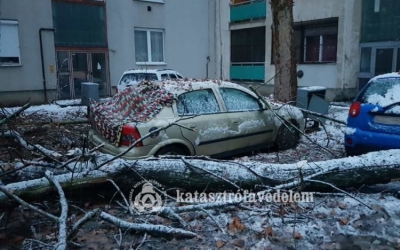Autókra dőlt egy fa Tiszafüreden