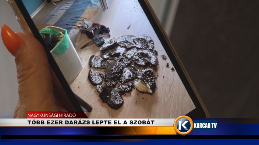 TÖBB EZER DARÁZS LEPTE EL A SZOBÁT