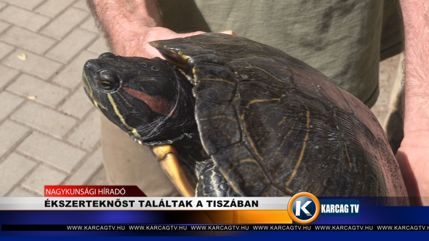 ÉKSZERTEKNŐST TALÁLTAK A TISZÁBAN