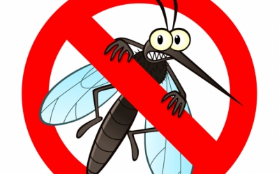 Tizenhárom vármegyében és a fővárosban gyérítik a héten a szúnyogokat