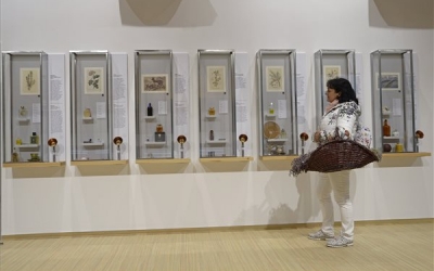 Átadták az ország első illatmúzeumát Pannonhalmán