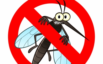 Katasztrófavédelem: tizenkét vármegyében és Budapesten irtják a szúnyogokat a héten